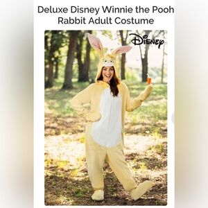 Winnie the Pooh Rabbit costume